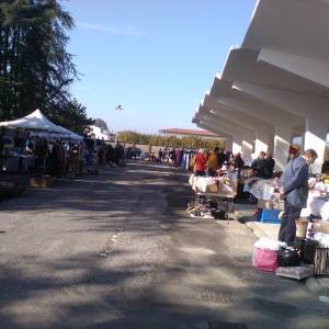 MARLIA una edizione precedente di riusami e scambiami