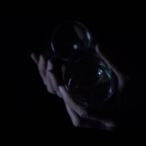 La foret des gestes_Ariane Michel 2