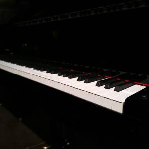 289423575_756935025338166_3529311574856816289_n