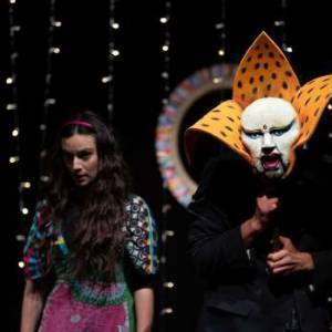 alice attraverso lo specchio