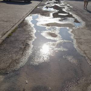 3f4ca0ea-cb2c-498f-a4cc-089b8a62ba0e