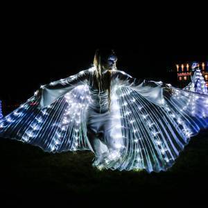 Le Rinascenze by Night _MG_7095