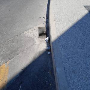 WhatsApp Image 2022-07-19 at 10.17.53