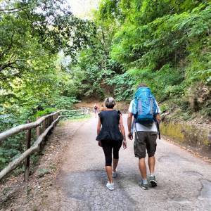 293881311_387573823293127_2419020962126050693_n