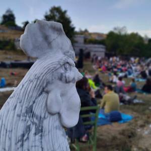 295718755_593054029218872_8025071769647794436_n