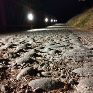 294761368_575675870929345_5600597083696173586_n