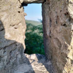 295238340_2003955773325969_4087921746862111788_n