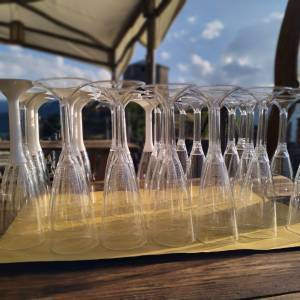 295481676_461497732175770_7653076497133050033_n