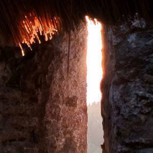 295702935_766975828060734_2825911063351998897_n