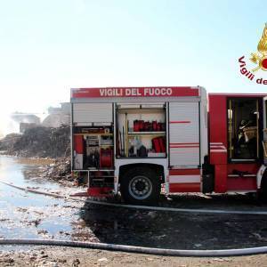 894f341a-c8f5-4f28-8520-ad14b8650896