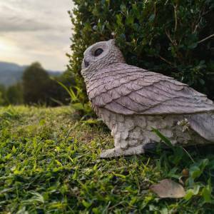 298030204_417490393695077_5323677018179465306_n