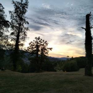 298324068_2322931871203799_8472986789376098454_n