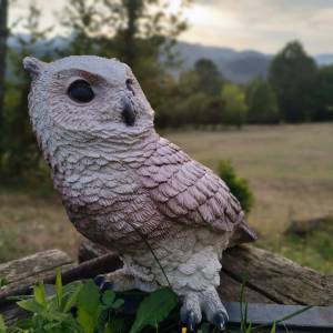 298383042_1278835772888132_437771615528407303_n