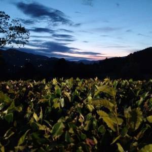 298457478_372786988365608_1022111093377654946_n