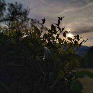 298558866_1527528394366717_9088277435908778427_n