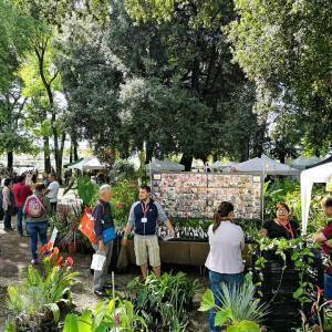 Murabilia foto archivio