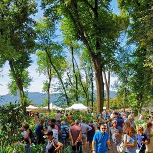 Murabilia foto archivio2