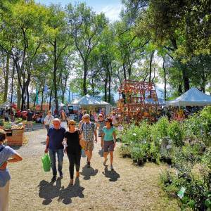 Murabilia foto archivio3