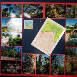 299740338_590960829151591_9212676933627121967_n