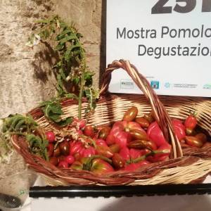 WhatsApp Image 2022-09-02 at 19.53.53 (1)