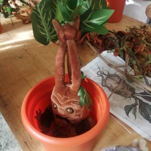 WhatsApp Image 2022-09-02 at 19.53.54 (1)