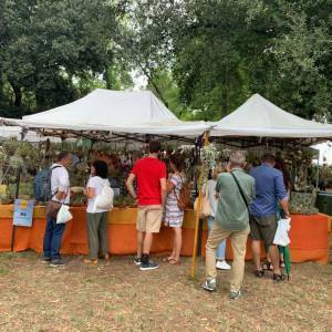 01107a89-d356-4536-b3b9-0a1ec598bd5b