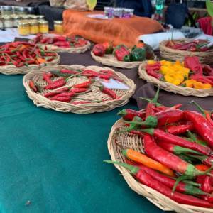 0fa9c48f-773b-4e79-91f7-3a15b6ae6262