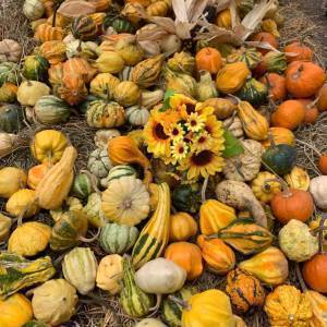 35723216-cfdb-42e7-aaac-986e34fefa9f