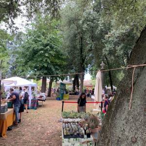 b765ef39-48b7-4ae7-8d98-544f3036e028