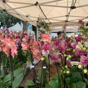 ee301995-300a-4194-be18-862752185a7a