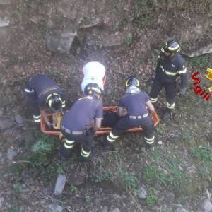 95c661a6-e962-444e-9c83-f0ad2b5fc34b