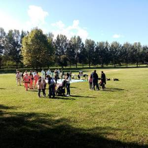 e32b1cca-e6b5-42b3-8e8d-a587c338a2f0