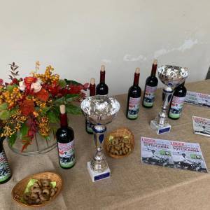 d5bdc100-417f-48b7-958b-94caa903df22