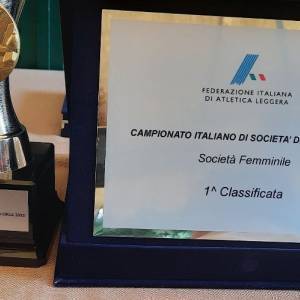 310000235_8081207508621156_1215210969969478186_n