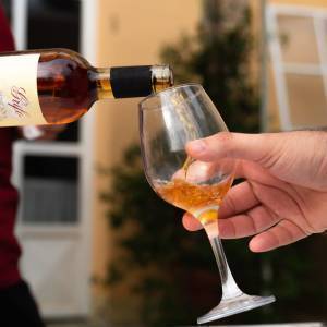 WhatsApp Image 2022-10-24 at 23.06.46 (1)