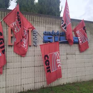 WhatsApp Image 2022-11-10 at 13.03.57