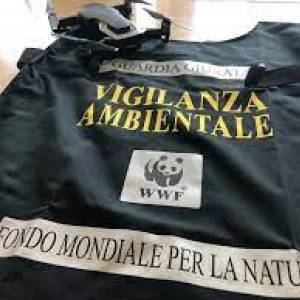 Vigilanza ambientale