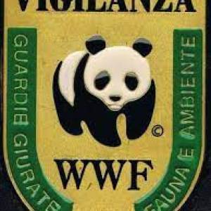 Vigilanza WWF