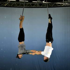 591ff077-ffd1-44ea-a5be-710b4b7883e8