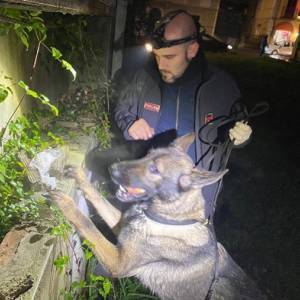 81412bc3-8e22-4182-8856-f3c761679fe6