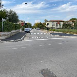 lavori alberi_altopascio