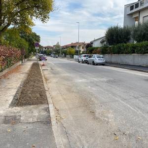 lavori alberi_altopascio1