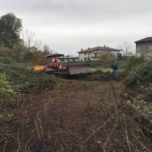 lavori alberi_gora del mulino