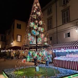 WhatsApp Image 2022-12-02 at 18.45.50(1)