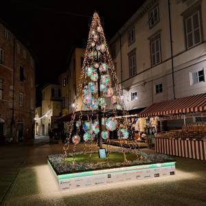 WhatsApp Image 2022-12-02 at 18.45.50(2)