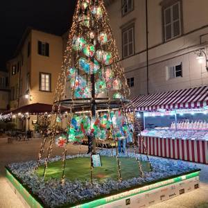 WhatsApp Image 2022-12-02 at 18.45.50