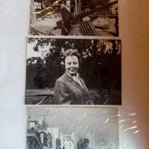 70a76ce9-ccac-4ba6-8de4-31e5ff8bad74