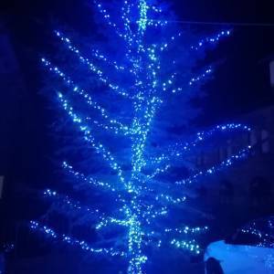 04ec2bc6-0fed-406d-8b69-bb4f8adf9bd5