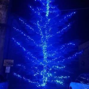 08d514a8-5dd0-4d04-b586-610e0cad9b12