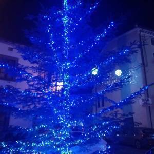 708b2e01-e868-4da0-89ac-79de3e996525